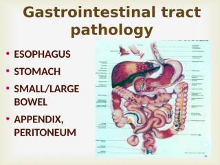 12[1].gastrointestinal.ppt