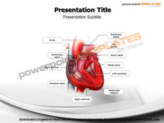 Congestive Heart Failure Powerpoint Template - templatesforpowerpoint.pptx
